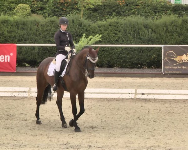 Reitturnier Durmersheim-Hardt 2018