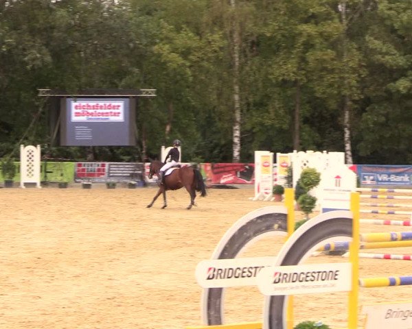 Reitturnier Duderstadt 2018