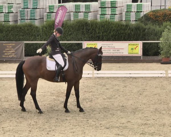 Reitturnier Durmersheim-Hardt 2018