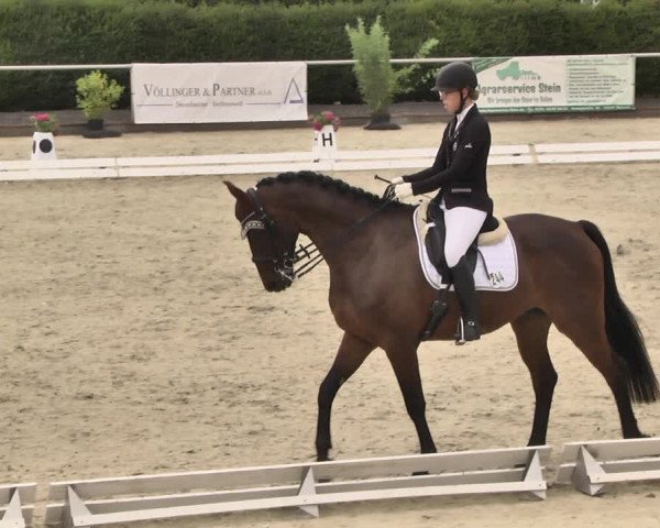 Reitturnier Durmersheim-Hardt 2018