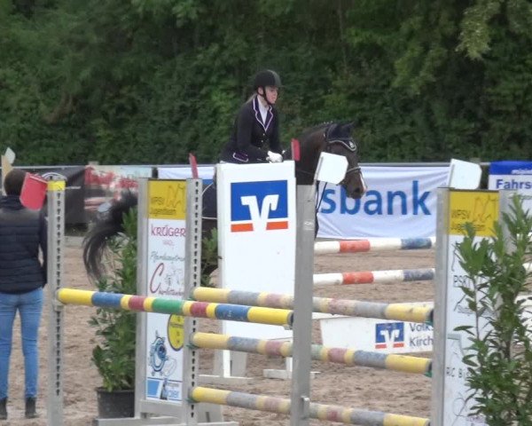 Reitturnier Weilheim/Teck 2018