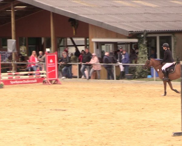 Reitturnier Duderstadt 2018