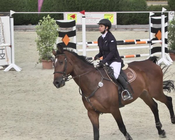 Reitturnier Durmersheim-Hardt 2018