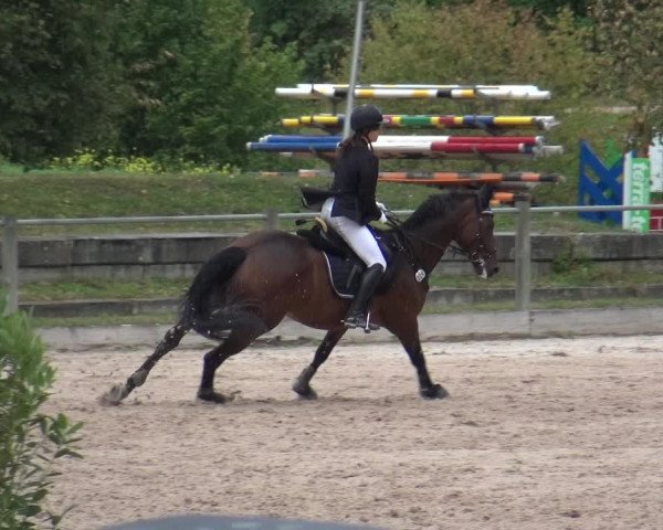 Reitturnier Weilheim/Teck 2018