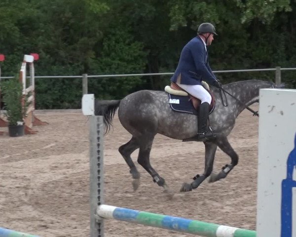 Reitturnier Weilheim/Teck 2018