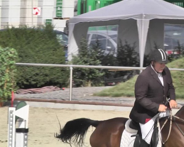 Reitturnier Durmersheim-Hardt 2018