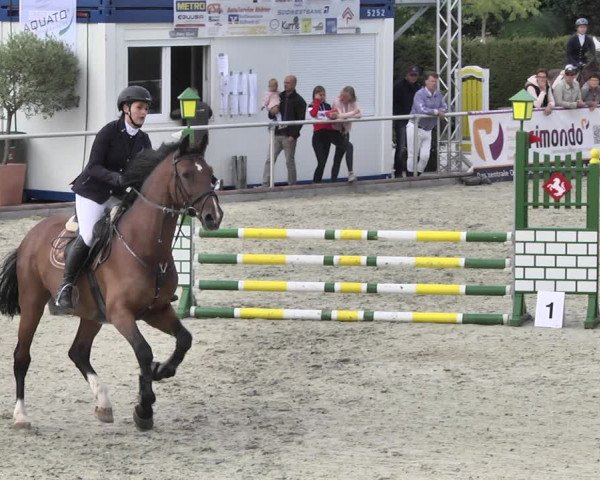 Reitturnier Durmersheim-Hardt 2018