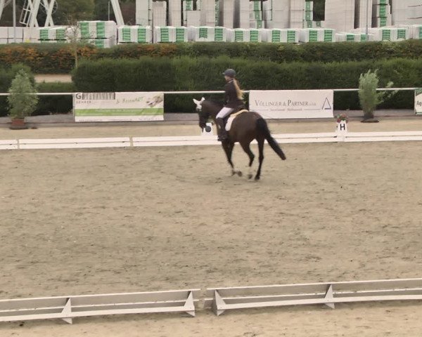 Reitturnier Durmersheim-Hardt 2018
