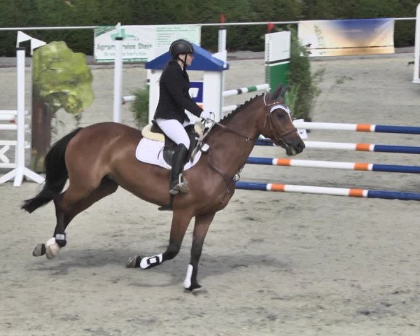 Reitturnier Durmersheim-Hardt 2018