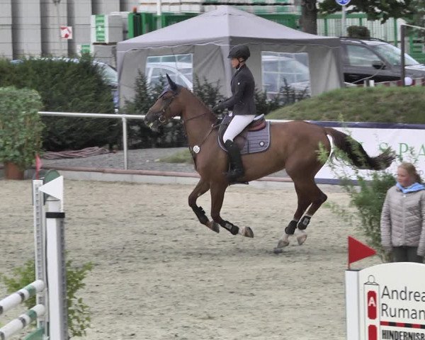 Reitturnier Durmersheim-Hardt 2018