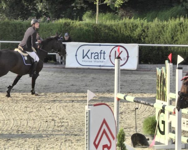 Reitturnier Durmersheim-Hardt 2018