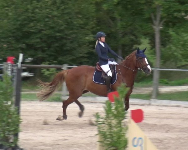 Reitturnier Weilheim/Teck 2018