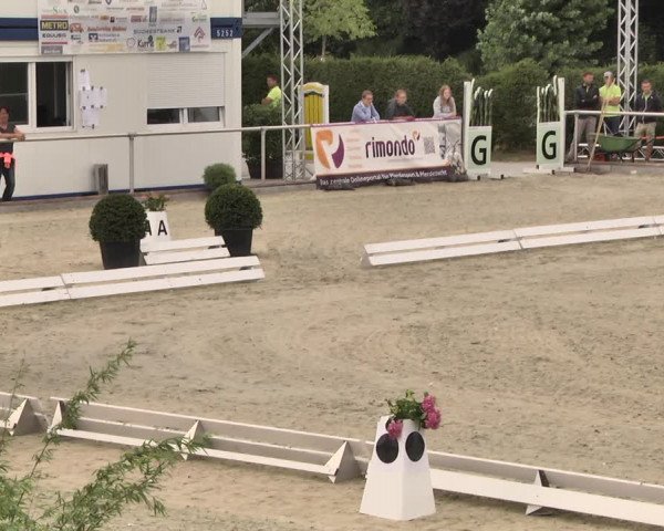 Reitturnier Durmersheim-Hardt 2018