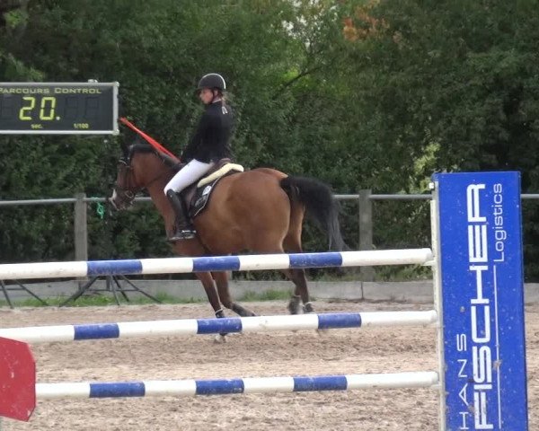 Reitturnier Weilheim/Teck 2018