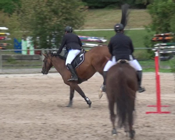 Reitturnier Weilheim/Teck 2018
