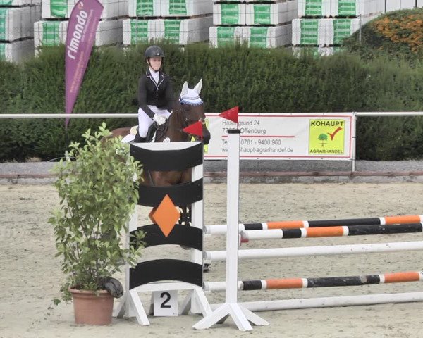 Reitturnier Durmersheim-Hardt 2018