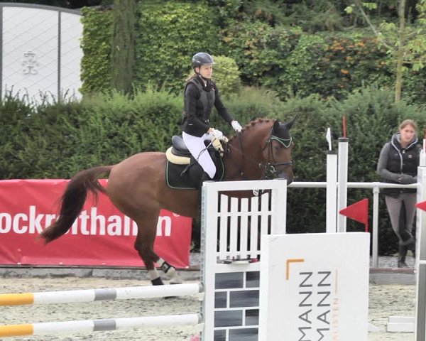 Reitturnier Durmersheim-Hardt 2018