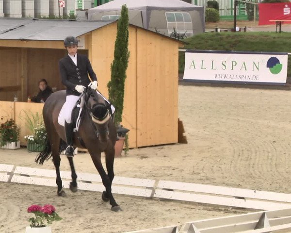 Reitturnier Durmersheim-Hardt 2018