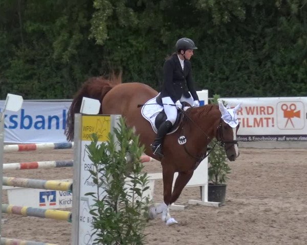 Reitturnier Weilheim/Teck 2018