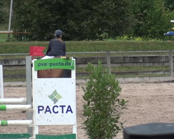 Reitturnier Weilheim/Teck 2018