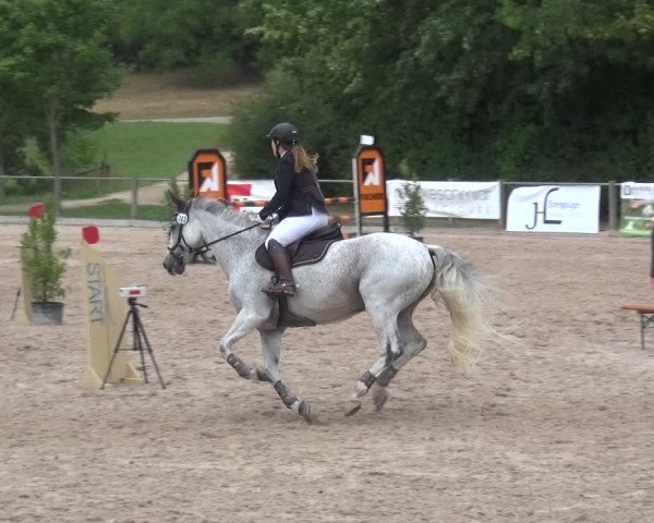 Reitturnier Weilheim/Teck 2018