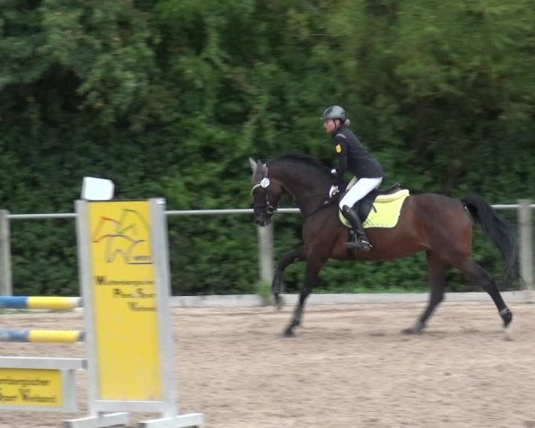 Reitturnier Weilheim/Teck 2018