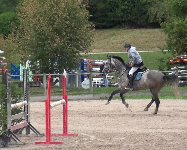 Reitturnier Weilheim/Teck 2018