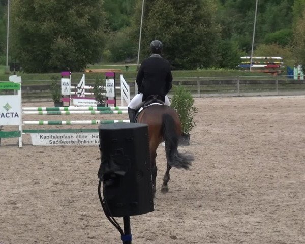 Reitturnier Weilheim/Teck 2018