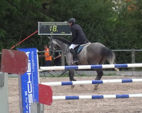 Reitturnier Weilheim/Teck 2018