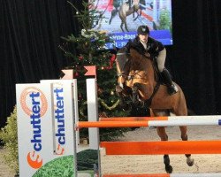 Zuchtstute Flow (KWPN (Niederländisches Warmblut), 2010, von Verdi)
