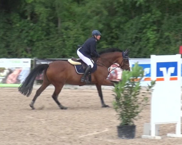 Reitturnier Weilheim/Teck 2018
