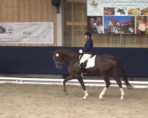 Reitturnier Weilheim/Teck 2018