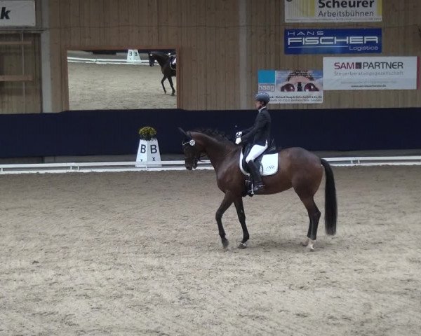 Reitturnier Weilheim/Teck 2018