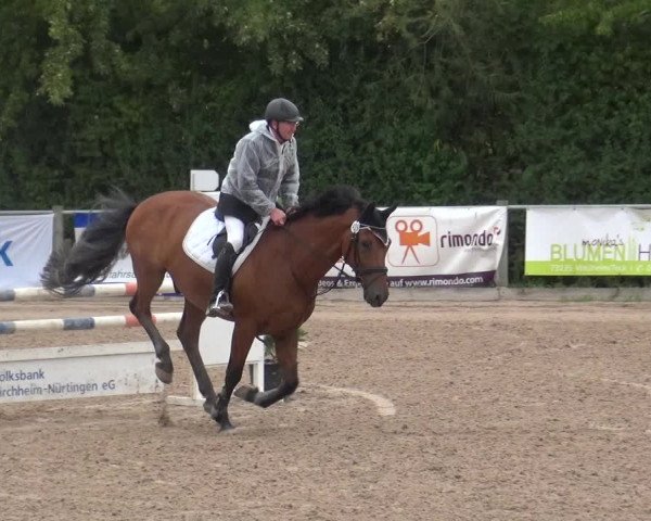 Reitturnier Weilheim/Teck 2018