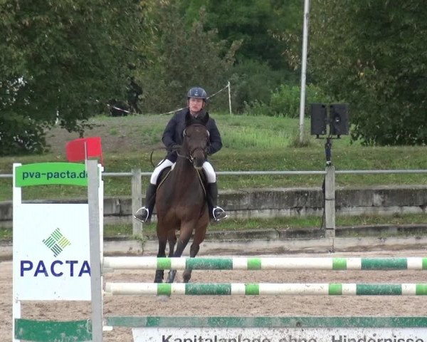 Reitturnier Weilheim/Teck 2018