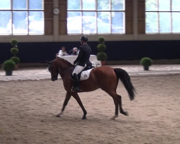 Reitturnier Weilheim/Teck 2018
