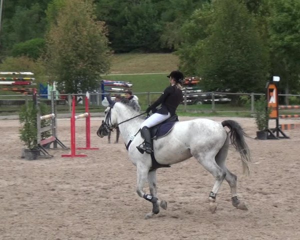 Reitturnier Weilheim/Teck 2018