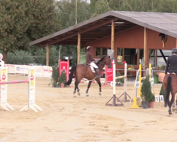 Reitturnier Duderstadt 2018