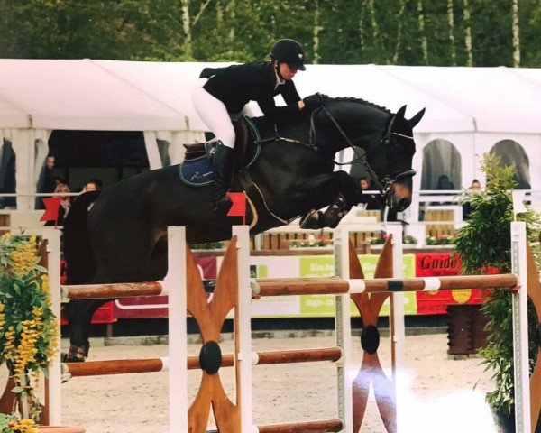 jumper Orlando 267 (KWPN (Royal Dutch Sporthorse), 2007, from Oklund)