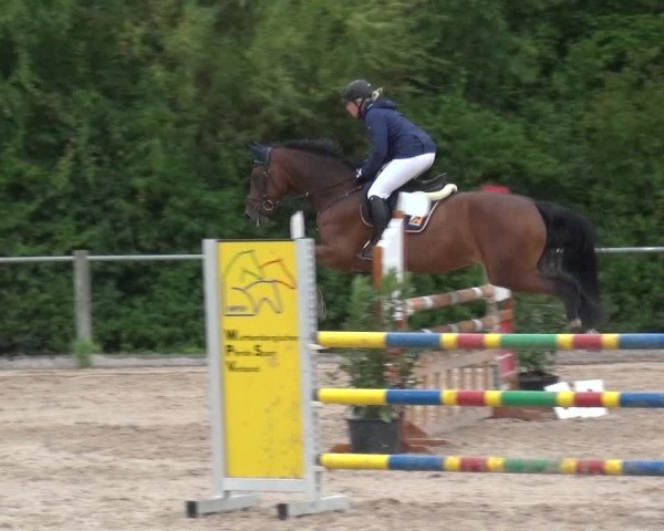 Reitturnier Weilheim/Teck 2018