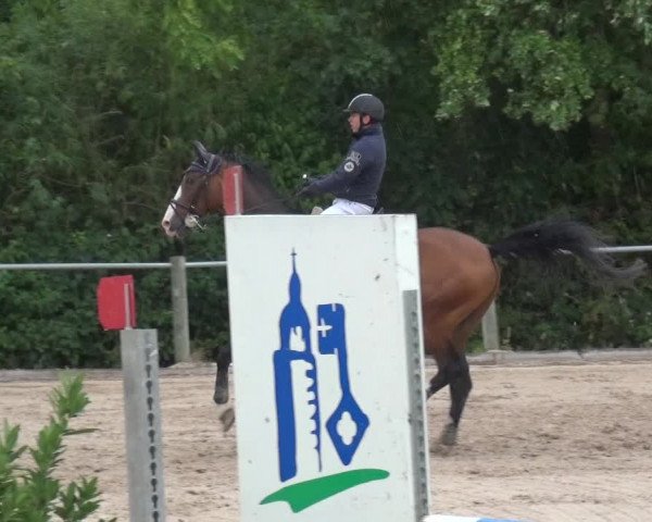 Reitturnier Weilheim/Teck 2018