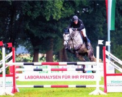 jumper Stan My Man (Hanoverian, 2009, from Stakkato)