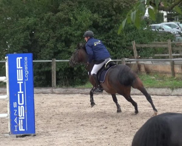 Reitturnier Weilheim/Teck 2018