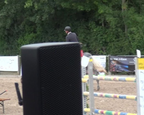 Reitturnier Weilheim/Teck 2018