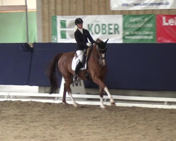Reitturnier Weilheim/Teck 2018