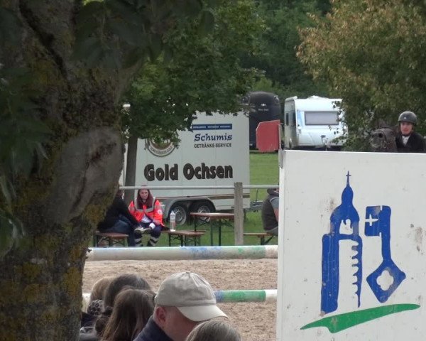 Reitturnier Weilheim/Teck 2018