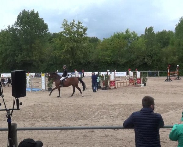 Reitturnier Weilheim/Teck 2018
