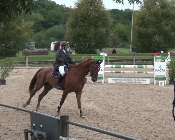 Reitturnier Weilheim/Teck 2018