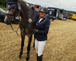 jumper Philippos 5 (Polish Warmblood, 2013, from Dionizos)