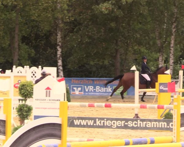 Reitturnier Duderstadt 2018